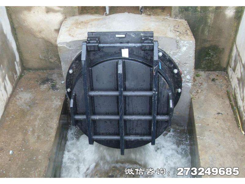 吳忠鋼制水渠拍門