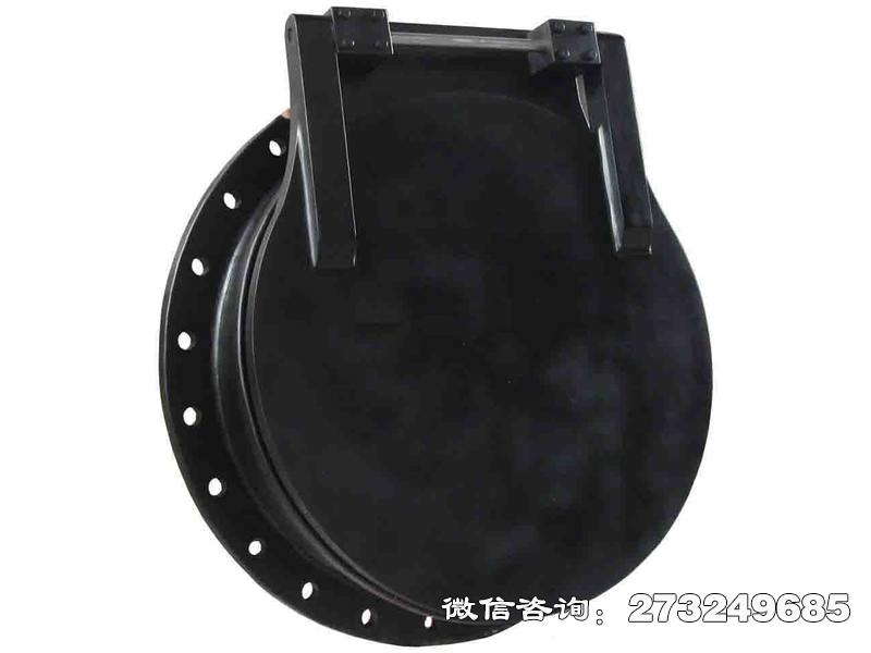 鐵西pgz鑄鐵拍門(mén)