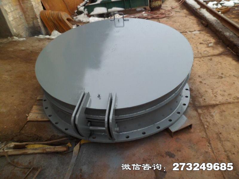 六枝特水庫鑄鐵拍門